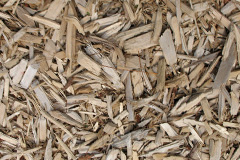 biomass boilers Bircham Tofts